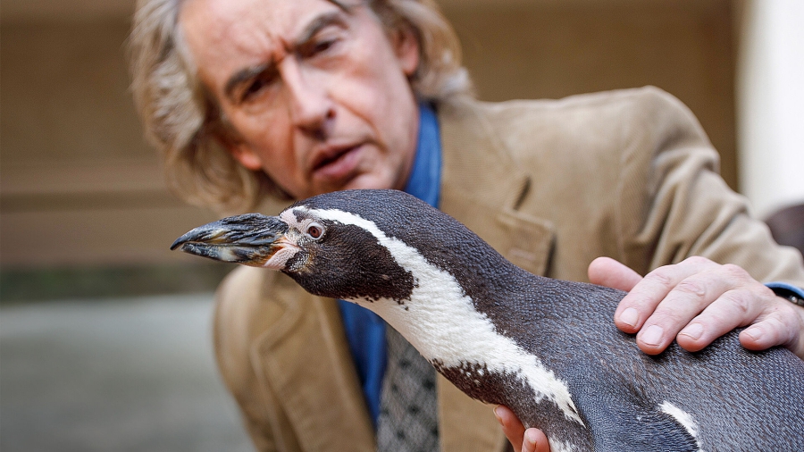Der Pinguin meines Lebens
