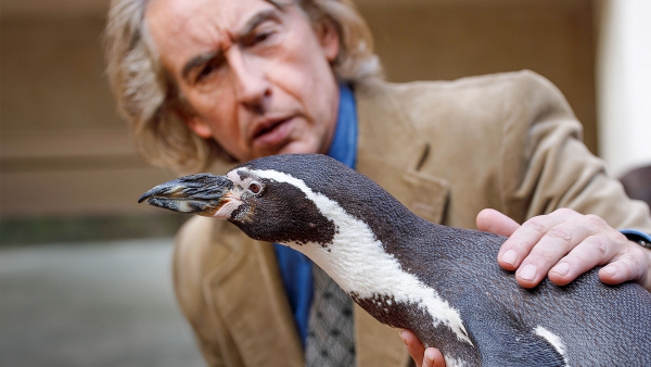 Der Pinguin meines Lebens