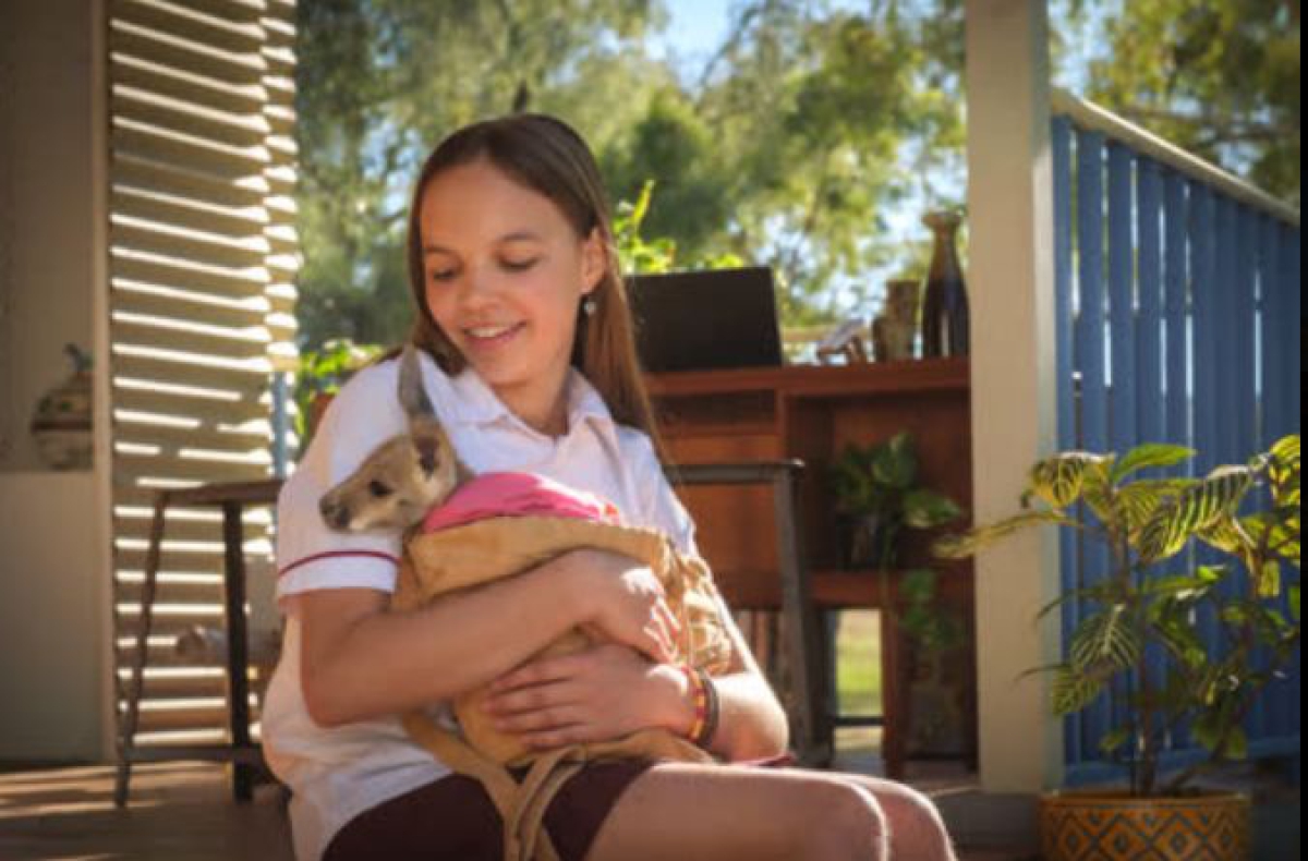 Lilly und die Kängurus